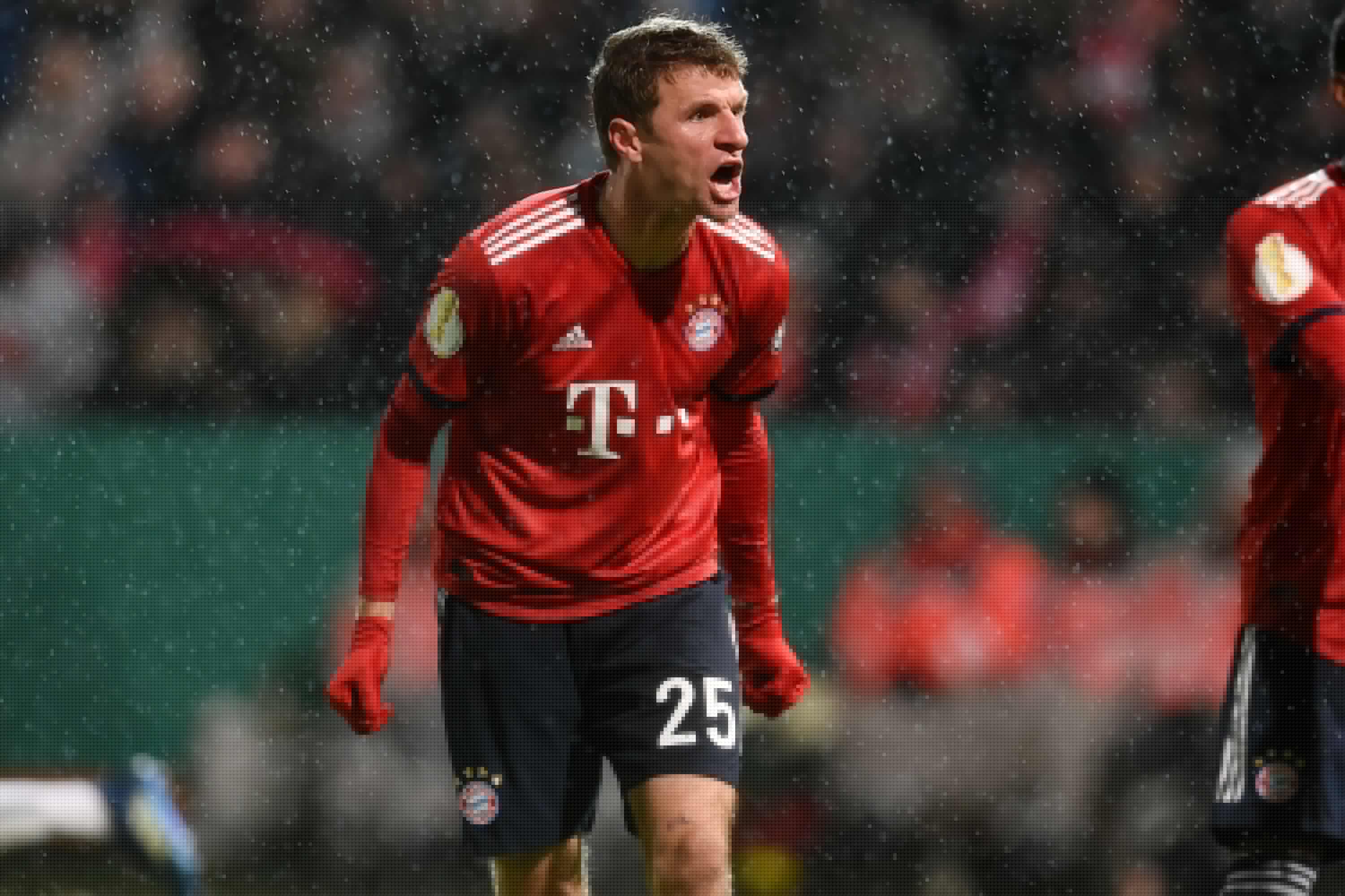 葵花籽榨油设备